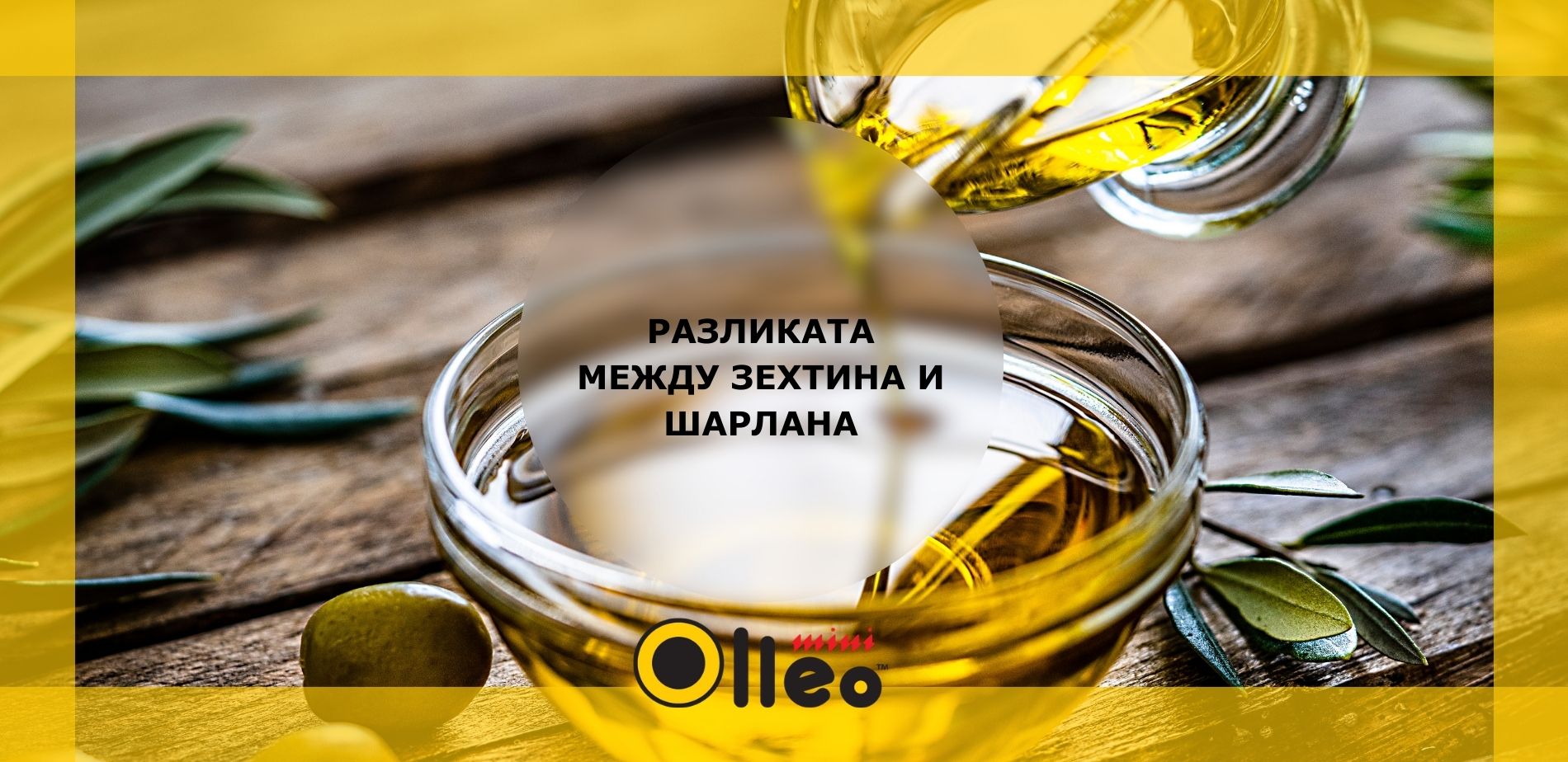 OLLEO – Студено пресовани олиа